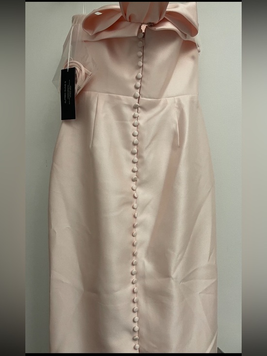 Strapless Satin Maxi Dress in Blush Pink - Picture 8 of 10